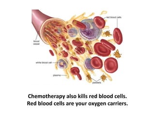 Over 60% of cancer
patients, who take
chemotherapy, die
from opportunistic
illnesses like
pneumonia, the
common cold, etc.
instead of the Cancer
itself because they
have no immune
system left to fight
anything.
 
