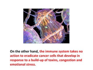 The immune system readily destroys the millions of
cancer cells that a healthy human body produces as
part of the daily turnover of 30 billion cells.
 