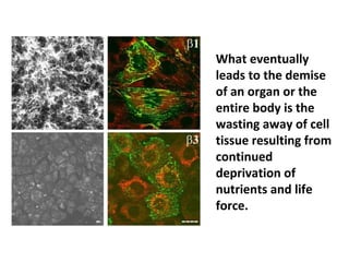 A cancerous tumor
is neither the cause
of progressive
destruction nor does
it actually lead to
the death of the
body. There is
nothing in a cancer
cell that has even
remotely the ability
to kill anything.
 