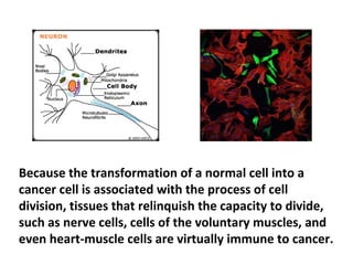Damaged or faulty genes do not kill anyone. Cancer
does not kill a person afflicted with it! What kills a
cancer patient is not the tumor, but the numerous
reasons behind cell mutation and tumor growth.
 