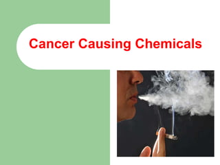Cancer Causing Chemicals
 