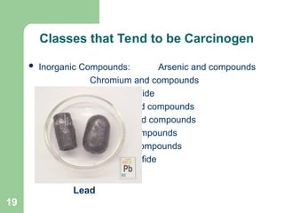 Cancer Causing Chemicals HSE Presentation HSE Formats.PPT