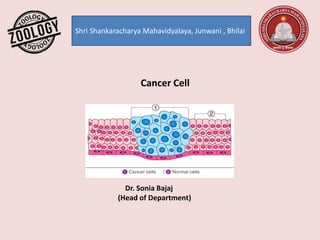 Shri Shankaracharya Mahavidyalaya, Junwani , Bhilai
Cancer Cell
Dr. Sonia Bajaj
(Head of Department)
 