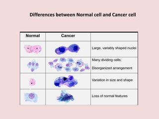 Differences between Normal cell and Cancer cell
 