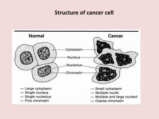 Structure of cancer cell
 
