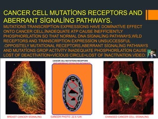 CANCER CELL MUTATİONS RECEPTORS AND
ABERRANT SİGNALİNG PATHWAYS.
MUTATİONS TRANSCRİPTİON EXPRESSİONS HAVE DOMİNATİVE EFFECT
ONTO CANCER CELL,İNADEQUATE ATP CAUSE İNEFFİCİENTLY
PHOSPHORİLATİON SO THAT NORMAL DNA SİGNALİNG PATHWAYS,WİLD
RECEPTORS AND TRANSCRİPTİON EXPRESSİON UNSUCCESSFUL
.OPPOSİTELY MUTATİONAL RECEPTORS,ABERRANT SİGNALİNG PATHWAYS
AND MUTATİONS GROP ACTİVİTY İNADEQUATE PHOSPHORİLATİON CAUSE
LOST OF DEACTİVATİON=VİCİOUS CİRCLE=LOST OF İNACTİVATİON.VİDEO:
CANCER PHOTO 22.9.12/6BREAST CANCER SİGNALİNG CHANGED CANCER CELL SİGNALİNG
 