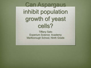 Can Aspargaus
inhibit population
 growth of yeast
      cells?
           Tiffany Sato
  Experium Science Academy
 Marlborough School, Ninth Grade
 
