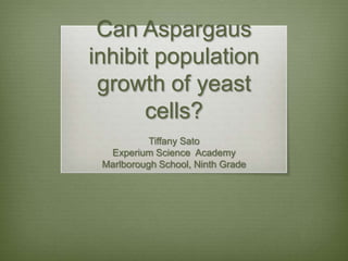 Can Aspargaus
inhibit population
 growth of yeast
      cells?
           Tiffany Sato
  Experium Science Academy
 Marlborough School, Ninth Grade
 