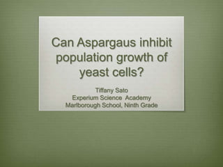 Can Aspargaus inhibit
population growth of
    yeast cells?
            Tiffany Sato
   Experium Science Academy
  Marlborough School, Ninth Grade
 