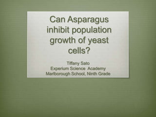 Can Asparagus
inhibit population
 growth of yeast
       cells?
          Tiffany Sato
 Experium Science Academy
Marlborough School, Ninth Grade
 