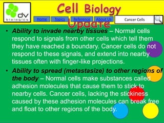 Cancer CellsAbout UsTopicsHome Reference
• Ability to invade nearby tissues – Normal cells
respond to signals from other cells which tell them
they have reached a boundary. Cancer cells do not
respond to these signals, and extend into nearby
tissues often with finger-like projections.
• Ability to spread (metastasize) to other regions of
the body – Normal cells make substances called
adhesion molecules that cause them to stick to
nearby cells. Cancer cells, lacking the stickiness
caused by these adhesion molecules can break free
and float to other regions of the body.
 