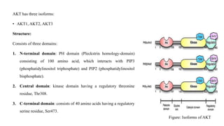 Akt2i Project.pdf Cancer cell signaling and its mechanisms.pptx