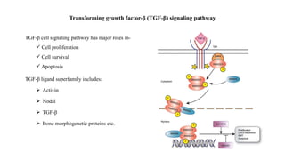 Cancer cell signaling and its mechanisms.pptx