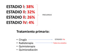 ESTADIO l: 38%
ESTADIO ll: 32%
ESTADIO ll: 26%
ESTADIO lV: 4%
Tratamiento primario:
• Cirugía
• Radioterapia
• Quimioterapia
• Quimioradiación
ESTADIOS l-lla
Todos los estadios
FRECUENCIA
 