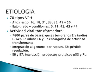    70 tipos VPH
    ◦ Alto riesgo: 16, 18, 31, 33, 35, 45 y 56.
    ◦ Bajo grado y condilomas: 6, 11, 42, 43 y 44.
   Actividad viral transformadora:
    ◦ 7800 pares de bases: genes tempranos E y tardíos
      L. Gen E2 inhibe E6 y E7 encargados de actividad
      transformante.
    ◦ Integración al genoma por ruptura E2: pérdida
      regulación.
    ◦ E6 y E7: interacción productos proteicos p53 y Rb.



                                              MANUAL INCAN MEXICO, 2000
 