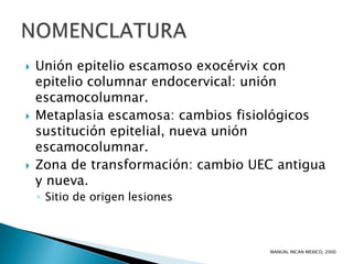    Unión epitelio escamoso exocérvix con
    epitelio columnar endocervical: unión
    escamocolumnar.
   Metaplasia escamosa: cambios fisiológicos
    sustitución epitelial, nueva unión
    escamocolumnar.
   Zona de transformación: cambio UEC antigua
    y nueva.
    ◦ Sitio de origen lesiones



                                     MANUAL INCAN MEXICO, 2000
 