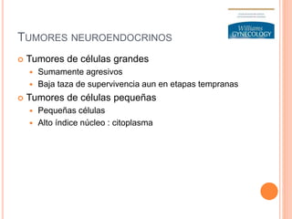 TUMORES NEUROENDOCRINOS
 Tumores de células grandes
 Sumamente agresivos
 Baja taza de supervivencia aun en etapas tempranas
 Tumores de células pequeñas
 Pequeñas células
 Alto índice núcleo : citoplasma
 