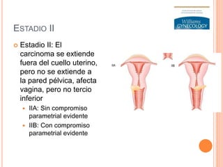 ESTADIO II
 Estadio II: El
carcinoma se extiende
fuera del cuello uterino,
pero no se extiende a
la pared pélvica, afecta
vagina, pero no tercio
inferior
 IIA: Sin compromiso
parametrial evidente
 IIB: Con compromiso
parametrial evidente
 