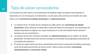 Los cánceres de cuello uterino y los precánceres se clasifican según el aspecto que presentan al
observarlos con un microscopio en el laboratorio. Los dos tipos más comunes de cánceres de cuello
uterino son el carcinoma de células escamosas y el adenocarcinoma.
● La mayoría (9 de 10 casos) de los cánceres de cuello uterino son carcinomas de células
escamosas. Estos cánceres se desarrollan a partir de células en el exocérvix. Los carcinomas de
células escamosas se originan con mayor frecuencia en la zona de transformación (donde el
exocérvix se une al endocérvix).
● La mayoría de los otros cánceres cervicales son adenocarcinomas que se originan de células
glandulares. El adenocarcinoma cervical se origina en las células de las glándulas productoras de
mucosidad del endocérvix.
● El cáncer de cuello uterino que tiene características tanto de los carcinomas de células escamosas
como de los adenocarcinomas es menos común. Estos tumores se llaman carcinomas
adenoescamosos o carcinomas mixtos.
10 Tipos de cancer cervicouterino
 