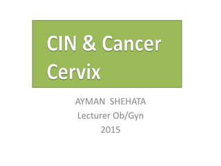 AYMAN SHEHATA
Lecturer Ob/Gyn
2015
 