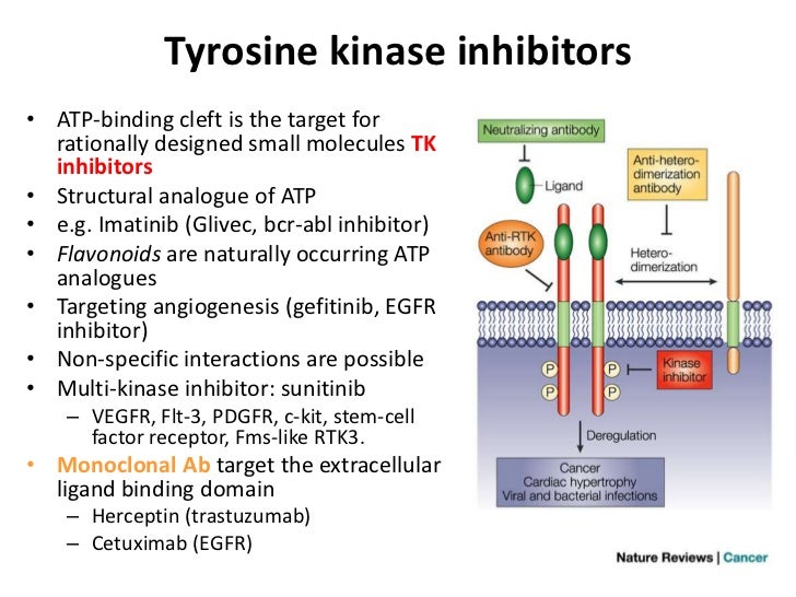 Cancer Chemotherapies Final