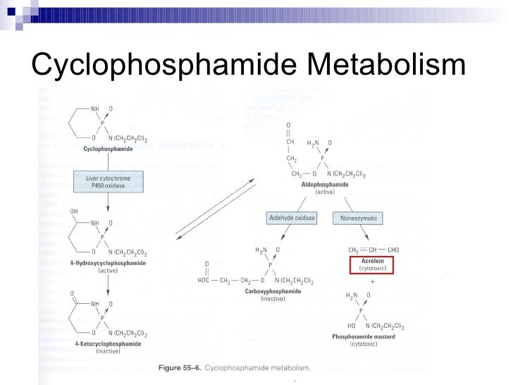 Acrolein cyclophosphamide Acrolein cyclophosphamide