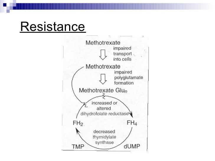 methotrexate mechanism of action