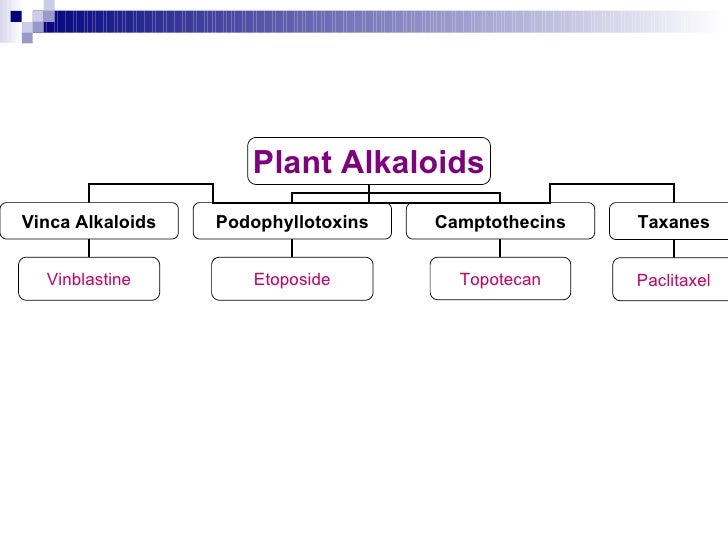 what is the mechanism of action of anticancer drugs