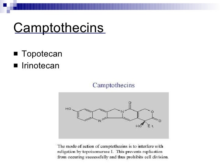 Cancer Chemotherapy Cancer Chemotherapy
