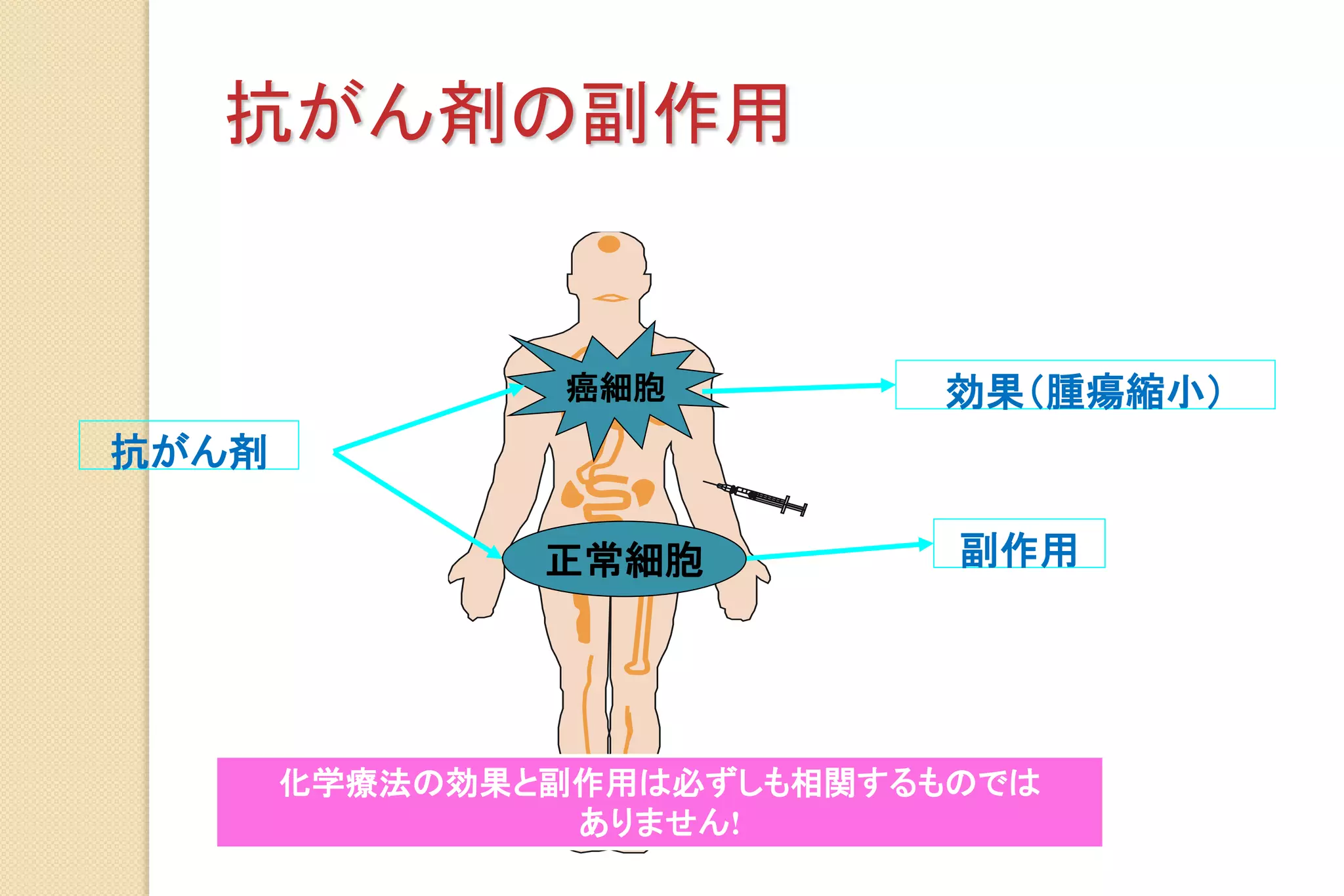 抗がん剤の副作用
抗がん剤
効果（腫瘍縮小）
副作用
癌細胞
正常細胞
化学療法の効果と副作用は必ずしも相関するものでは
ありません!
 
