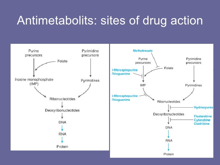 Hydroxyurea Drug Class