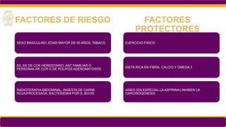 SEXO MASCULINO, EDAD MAYOR DE 50 AÑOS, TABACO
EII, SX DE CCR HEREDITARIO, ANT FAMILIAR O
PERSONAL DE CCR O DE POLIPOS ADENOMATOSOS
RADIOTERAPIA ABDOMINAL, INGESTA DE CARNE
ROJA/PROCESADA, BACTERIEMIA POR S. BOVIS
FACTORES DE RIESGO
EJERCICIO FISICO
DIETA RICA EN FIBRA, CALCIO Y OMEGA 3
AINES (EN ESPECIAL LA ASPIRINA) INHIBEN LA
CARCINOGENESIS
FACTORES
PROTECTORES
 