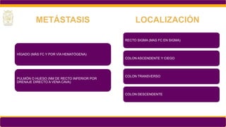 HÍGADO (MÁS FC Y POR VÍA HEMATÓGENA)
PULMÓN O HUESO (NM DE RECTO INFERIOR POR
DRENAJE DIRECTO A VENA CAVA)
METÁSTASIS
RECTO SIGMA (MAS FC EN SIGMA)
COLON ASCENDENTE Y CIEGO
COLON TRANSVERSO
COLON DESCENDENTE
LOCALIZACIÓN
 