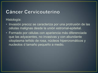 Histología:
• Invasión precoz se caracteriza por una protrusión de las
células malignas desde la unión estromal-epitelial.
• Formado por células con apariencia más diferenciada
que las adyacentes, no invasivas y con abundante
citoplasma teñido de rosa, núcleos hipercromáticos y
nucleolos d tamaño pequeño a medio.
 