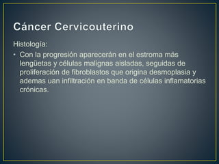 Histología:
• Con la progresión aparecerán en el estroma más
lengüetas y células malignas aisladas, seguidas de
proliferación de fibroblastos que origina desmoplasia y
ademas uan infiltración en banda de células inflamatorias
crónicas.
 
