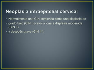 • Normalmente una CIN comienza como una displasia de
• grado bajo (CIN I) y evoluciona a displasia moderada
(CIN II)
• y después grave (CIN III).
 