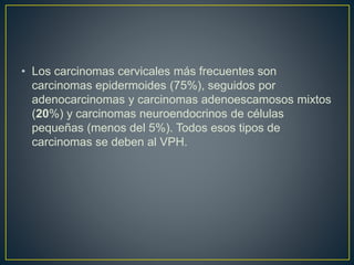 • Los carcinomas cervicales más frecuentes son
carcinomas epidermoides (75%), seguidos por
adenocarcinomas y carcinomas adenoescamosos mixtos
(20%) y carcinomas neuroendocrinos de células
pequeñas (menos del 5%). Todos esos tipos de
carcinomas se deben al VPH.
 