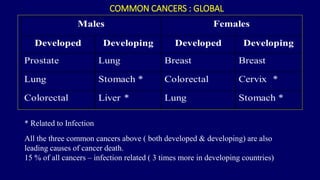 COMMON CANCERS : GLOBAL 
* Related to Infection 
All the three common cancers above ( both developed & developing) are also 
leading causes of cancer death. 
15 % of all cancers – infection related ( 3 times more in developing countries) 
 