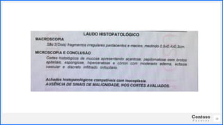 Contoso
P a c o t e s
28
 