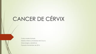 CANCER DE CÉRVIX
Carlos Andrés Hurtado
Medico interno universidad del Cauca.
Ginecología y obstetricia
Popayán Noviembre de 2014.
 