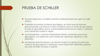 PRUEBA DE SCHILLER
 Se pasa especulo y se aplica solución yodoyodurada de Lugol al cuello
uterino.
 El epitelio escamoso contiene glucógeno, en tanto que las lesiones
precancerosas y el cáncer invasor contienen poco o nada de glucógeno.
El yodo es glucofílico, por lo cual el epitelio escamoso lo capta y adquiere
una coloración caoba o negra.
 Las metaplasias y lesiones inflamatorias tienen contenido parcial de
glucógeno, y se observan como áreas de captación dispersas y mal
definidas.
 Las lesiones precancerosas y el cáncer invasor no captan el yodo (por
carecer de glucogeno) y aparecen como áreas bien definidas, gruesas,
de color amarillo mostaza o azafrán
 