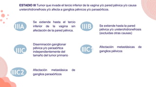 IVA Diseminación a órganos adyacentes Diseminación a órganos distantes
IVB
Estadio IV Tumor que se extiende más allá de la...