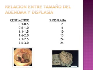 RELACION ENTRE TAMAÑO DEL ADENOMA Y DISPLASIACENTIMETROS              0.1-0.5               0.6-1.0              1.1-1.5              1.6-2.0              2.1-2.5              2.6-3.0% DISPLASIA                   2                   4                  10                  15                  24                  24