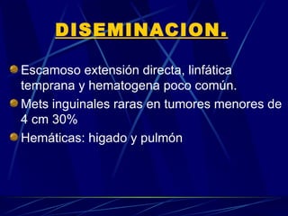 DISEMINACION.

Escamoso extensión directa, linfática
temprana y hematogena poco común.
Mets inguinales raras en tumores menores de
4 cm 30%
Hemáticas: higado y pulmón
 