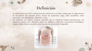 Definición
⤞ El cáncer colorectal (CCR) o adenocarcinoma colorectal es un tumor maligno que se origina dentro
de las paredes del intestino grueso, incluye los segmentos: ciego, colon ascendente, colon
transverso, colon descendente, sigmoides y recto.
⤞ Los adenomas son tumores benignos epiteliales que se consideran lesiones precancerosas. Los
adenomas pueden tener diferentes grados de displasia o diferentes características histológicas:
tubular, tubulo-vellosas, asociados con el aumento de potencial de malignidad.
 