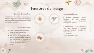 Factores demograficos
• Edad. Factor demográfico + importante.
• Patrón Migratorio. Adoptan incidencia al
migrar de zona de bajo riesgo a alto riesgo
(ej. Asiáticos hacia EU).
Factores biológicos
• Cambio Anatómico. Mayor
frecuencia del lado derecho:
multifactorial (longevidad,
carcinógenos, genética).
• Adenomas: RR 1.8 (2.6 si se detecta
<60) pero sometido al estimulo
ambiental. Prevalencia +50ª: 0.5% -2%
cancer invasor.
1-1.6% in situ.
7-10% adenoma (<1cm)
Factores ambientales
• Dieta: carne roja, frita, procesada.
• Estilo de vida: sedentarismo.
• Alcoholismo 2/día
• Tabaquismo: 20-35 cajetillas al año
• Ingesta de café: contiene sustancias
anti mutagénicas y disminuye el
tiempo de contacto de la mucosa
con los agentes mutagénicos.
• AINES
Factores de riesgo
 
