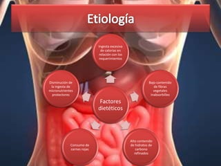 Ingesta excesiva
                             de calorías en
                            relación con los
                            requerimientos




Disminución de                                            Bajo contenido
 la ingesta de                                               de fibras
micronutrientes                                              vegetales
  protectores                                              inabsorbilles

                             Factores
                            dietéticos




                                               Alto contenido
             Consumo de                        de hidratos de
             carnes rojas                          carbono
                                                  refinados
 