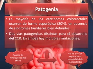 • La mayoría de los carcinomas colorrectales
  ocurren de forma esporádica (80%), en ausencia
  de síndromes familiares bien definidos.
• Dos vías patogénicas distintas para el desarrollo
  del CCR. En ambas hay múltiples mutaciones.


                                       Vía de error de
     Perdida de
                                        replicación o
  heterogenecidad
                                      inestabilidad de
       (80%)
                                       microsatélites
 