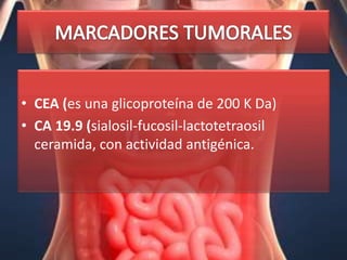 • CEA (es una glicoproteína de 200 K Da)
• CA 19.9 (sialosil-fucosil-lactotetraosil
  ceramida, con actividad antigénica.
 