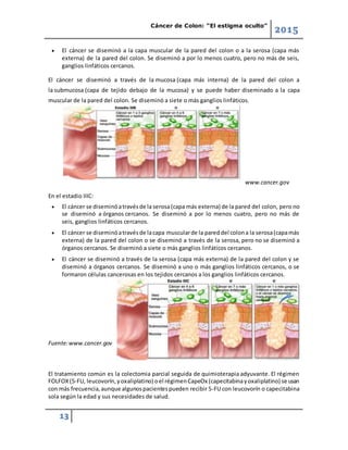 Cáncer de Colon: “El estigma oculto”
2015
13
 El cáncer se diseminó a la capa muscular de la pared del colon o a la serosa (capa más
externa) de la pared del colon. Se diseminó a por lo menos cuatro, pero no más de seis,
ganglios linfáticos cercanos.
El cáncer se diseminó a través de la mucosa (capa más interna) de la pared del colon a
la submucosa (capa de tejido debajo de la mucosa) y se puede haber diseminado a la capa
muscular de la pared del colon. Se diseminó a siete o más ganglios linfáticos.
www.cancer.gov
En el estadio IIIC:
 El cáncer se diseminóatravésde la serosa(capa más externa) de la pared del colon, pero no
se diseminó a órganos cercanos. Se diseminó a por lo menos cuatro, pero no más de
seis, ganglios linfáticos cercanos.
 El cáncer se diseminóatravésde lacapa muscularde la pareddel colona la serosa(capamás
externa) de la pared del colon o se diseminó a través de la serosa, pero no se diseminó a
órganos cercanos. Se diseminó a siete o más ganglios linfáticos cercanos.
 El cáncer se diseminó a través de la serosa (capa más externa) de la pared del colon y se
diseminó a órganos cercanos. Se diseminó a uno o más ganglios linfáticos cercanos, o se
formaron células cancerosas en los tejidos cercanos a los ganglios linfáticos cercanos.
Fuente:www.cancer.gov
El tratamiento común es la colectomia parcial seguida de quimioterapia adyuvante. El régimen
FOLFOX(5-FU, leucovorín,yoxaliplatino) oel régimenCapeOx (capecitabinayoxaliplatino) se usan
con más frecuencia,aunque algunospacientespueden recibir 5-FU con leucovorín o capecitabina
sola según la edad y sus necesidades de salud.
 